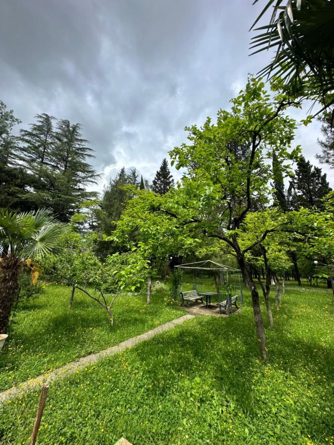 Imeri Park Hotel كوتايسي المظهر الخارجي الصورة